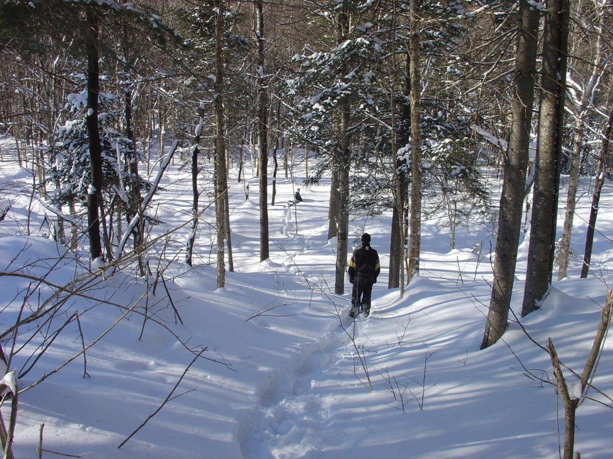 Gite Aventures QuebecSainte Brigitte de Laval エクステリア 写真